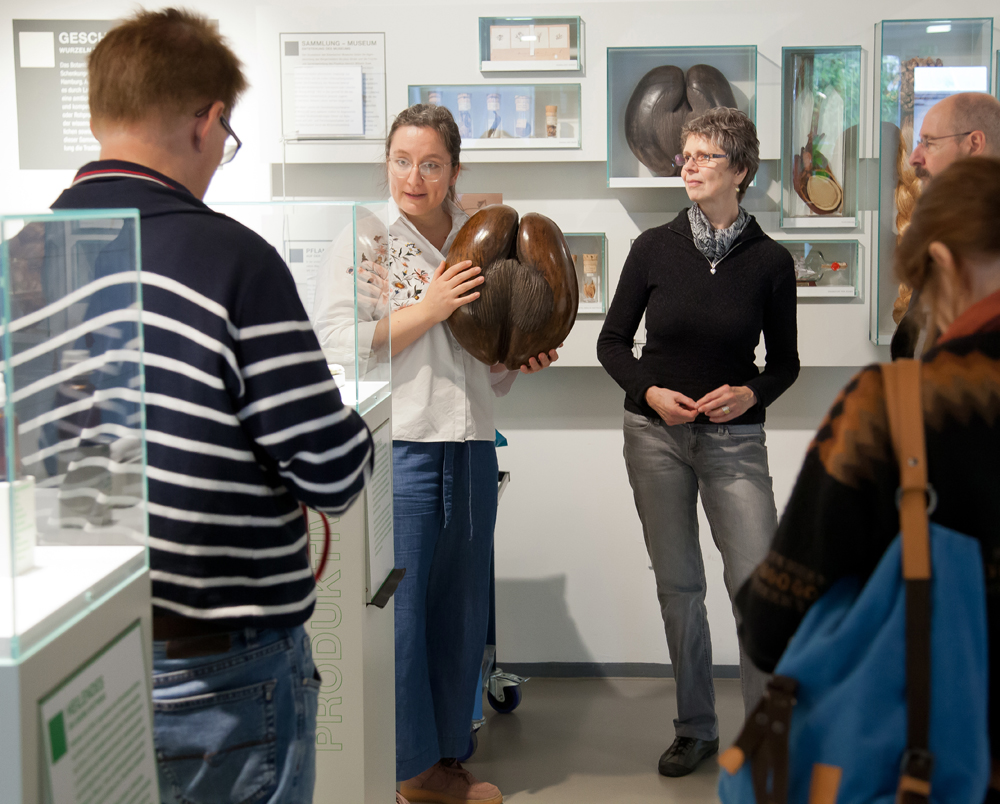 Führung während des Ausflugs im Loki-Schmidt-Garten