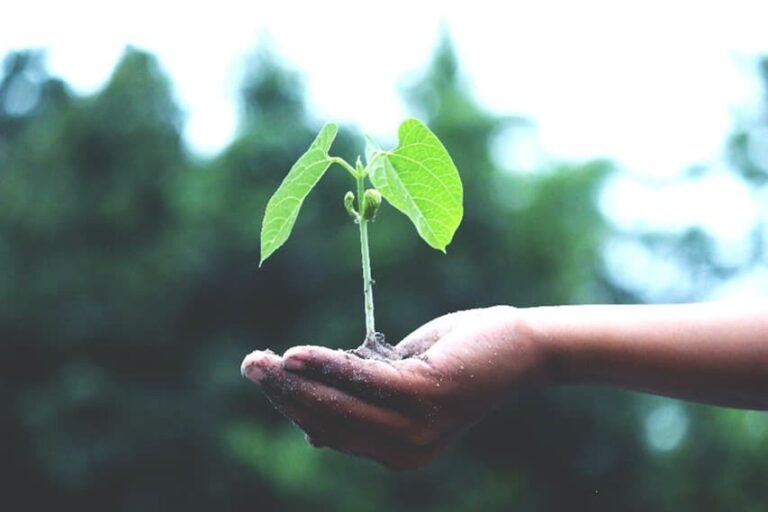 Sprachbrücke-Hamburg e.V. in 100 Sekunden