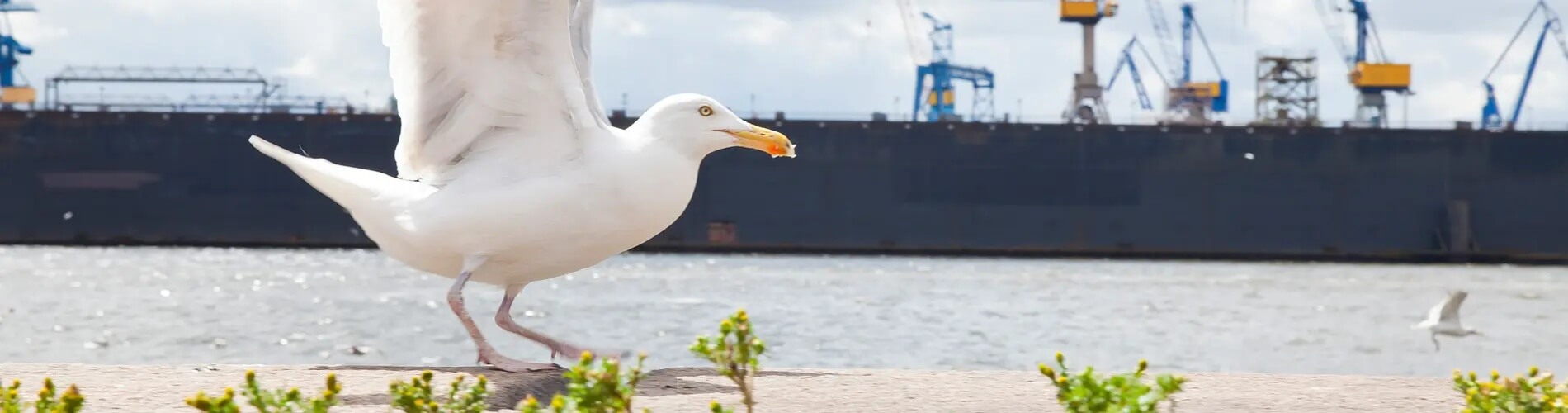 Headerbild für das Thema Exkursionen